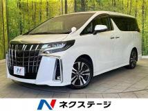 2019 Toyota Alphard G