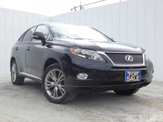 2010 Lexus RX