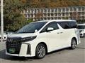 2020 Toyota Alphard G