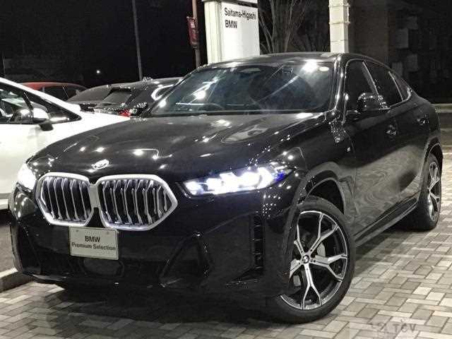 2024 BMW X6