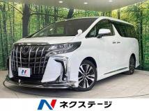 2019 Toyota Alphard G
