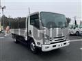 2020 Isuzu Elf Truck