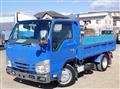 2019 Isuzu Elf Truck