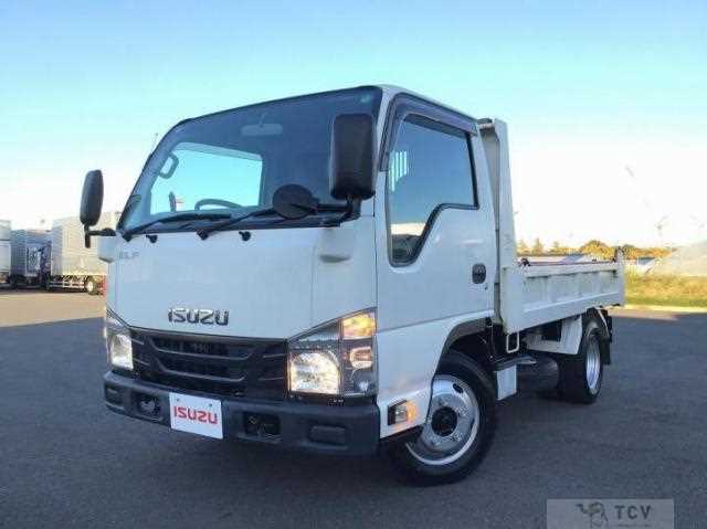 2017 Isuzu Elf Truck