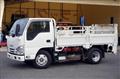 2019 Isuzu Elf Truck