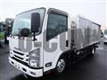 2019 Isuzu Elf Truck