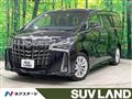 2021 Toyota Alphard G