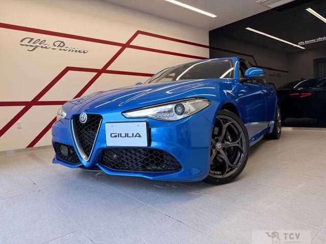 2018 Alfa Romeo Alfa Romeo Others