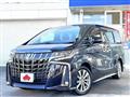 2020 Toyota Alphard G