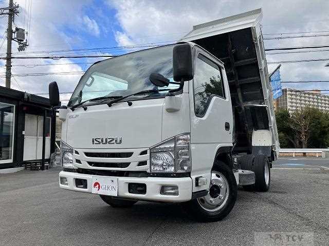 2019 Isuzu Elf Truck