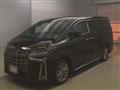 2020 Toyota Alphard G