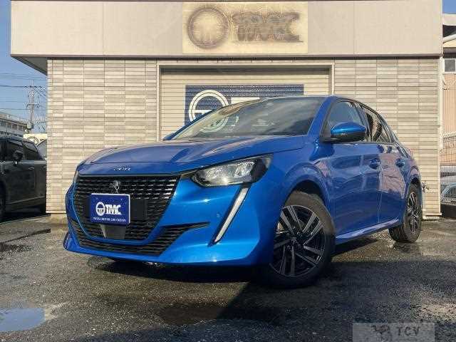 2020 Peugeot Peugoet Others