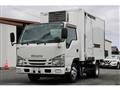 2017 Isuzu Elf Truck