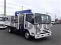 2021 Isuzu Elf Truck