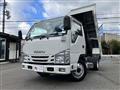 2019 Isuzu Elf Truck