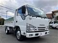 2019 Isuzu Elf Truck