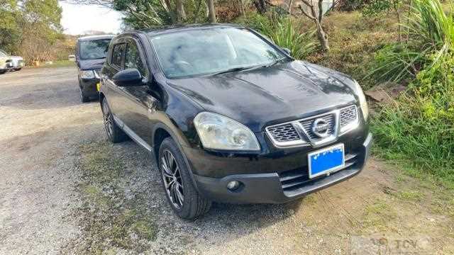 2011 Nissan Dualis