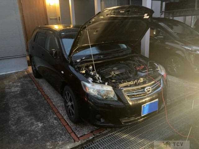 2009 Toyota Corolla Fielder