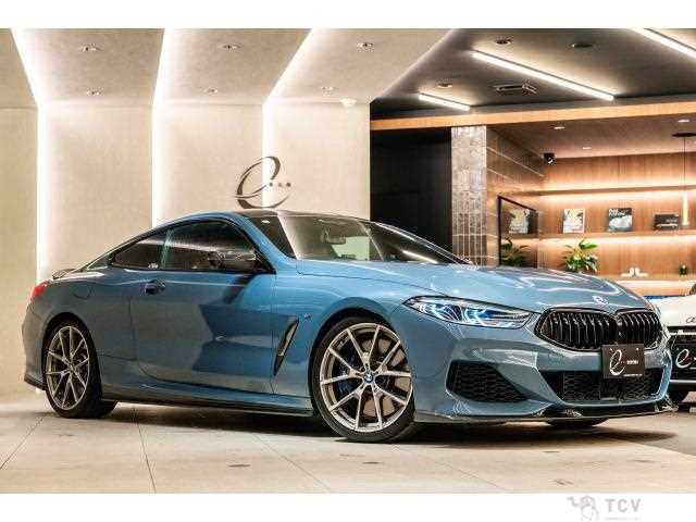 2019 BMW 8 Series