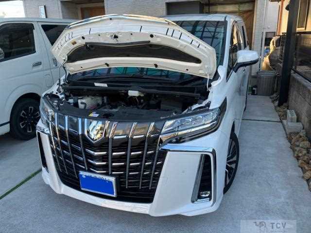 2020 Toyota Alphard G