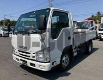 2020 Isuzu Elf Truck