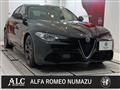 2021 Alfa Romeo Alfa Romeo Others
