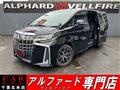 2019 Toyota Alphard G