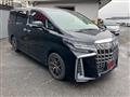 2019 Toyota Alphard G
