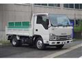 2022 Isuzu Elf Truck