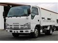 2019 Isuzu Elf Truck