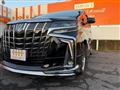 2019 Toyota Alphard G