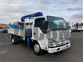 2011 Isuzu Elf Truck