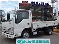 2019 Isuzu Elf Truck
