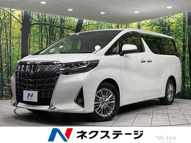 2019 Toyota Alphard G