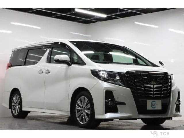 2016 Toyota Alphard G