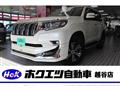 Toyota/Land Cruiser Prado