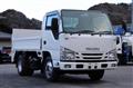 2016 Isuzu Elf Truck