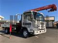 2010 Isuzu Elf Truck