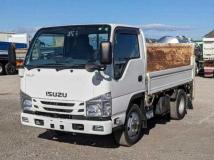 2019 Isuzu Elf Truck
