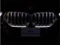 2022 BMW X6