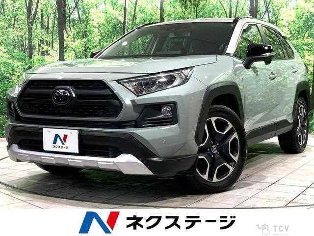 2019 Toyota RAV4