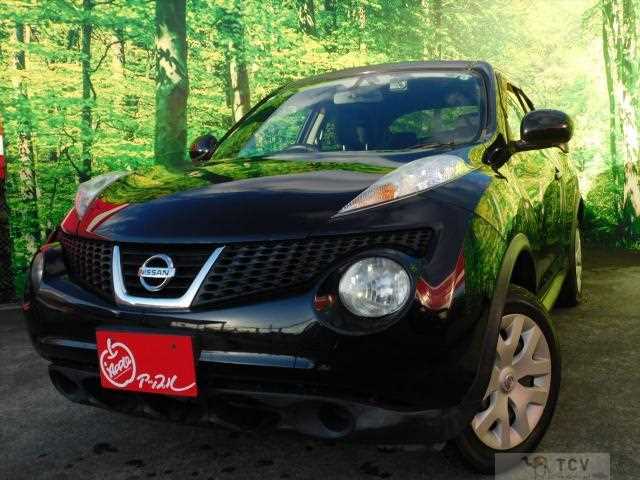 2011 Nissan Juke