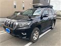 2019 Toyota Land Cruiser Prado