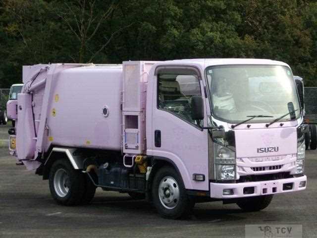 2017 Isuzu Elf Truck