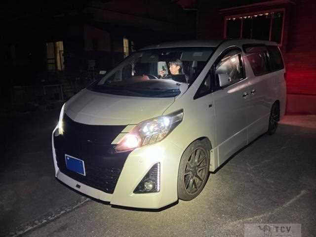 2013 Toyota Alphard G