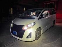 2013 Toyota Alphard G