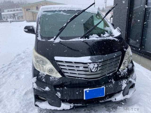 2009 Toyota Alphard G