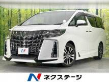 2019 Toyota Alphard G