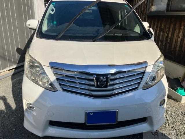 2009 Toyota Alphard G