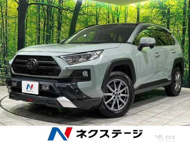 2019 Toyota RAV4